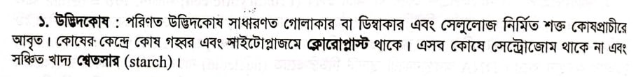 উচ্চতর গণিত